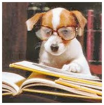 dog glasses reads papers