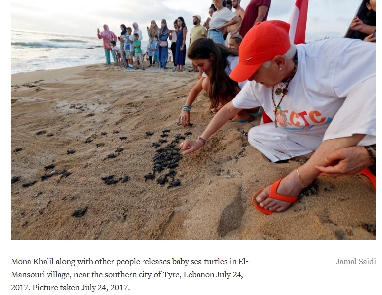 animal activist saving sea turtles