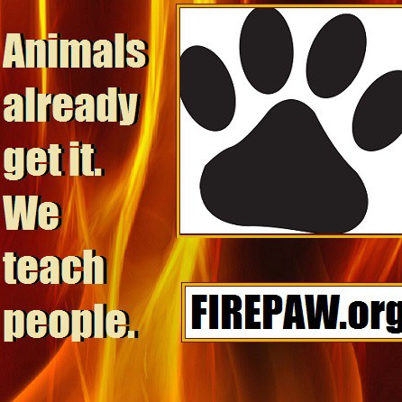 cropped-logo-firepaw-new