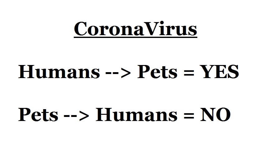 human-pet coronovirus