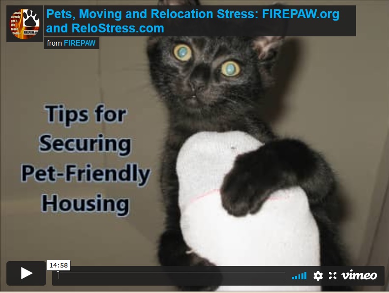 video-pets and relocation